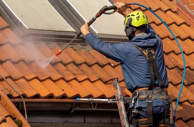 Démoussage et hydrofuge de toiture à Ceaulmont